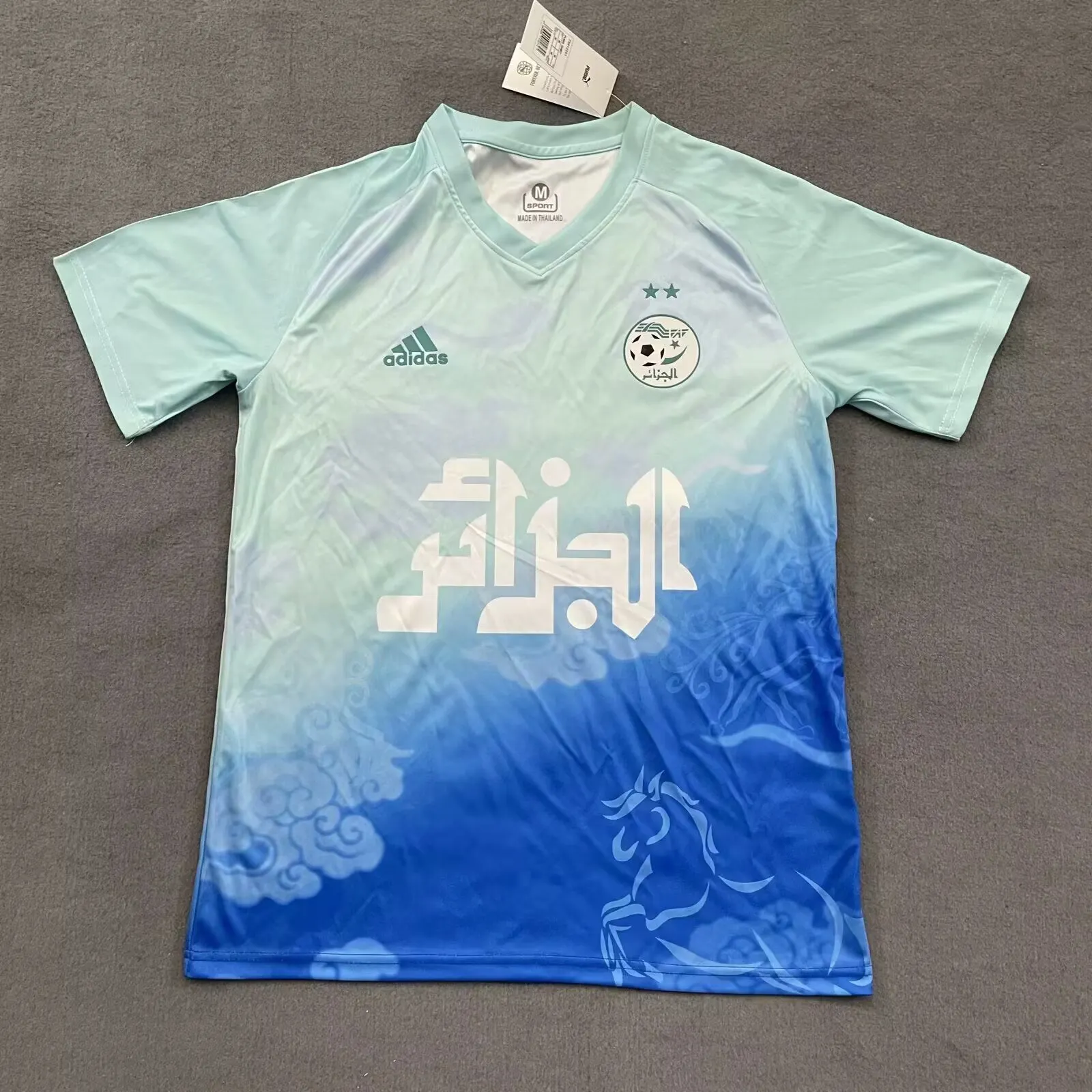 2025/2026 Algeria National Team Training clothes Football Shirt 1:1 Thai Quality