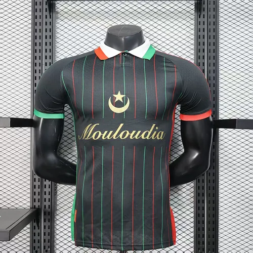 2025/2026 Player Version Palestine Special Edition Black Football Shirt 1:1 Thai Quality