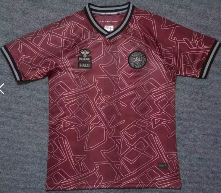 2024/2025 Denmark National Team Special Edition Football Shirt 1:1 Thai Quality