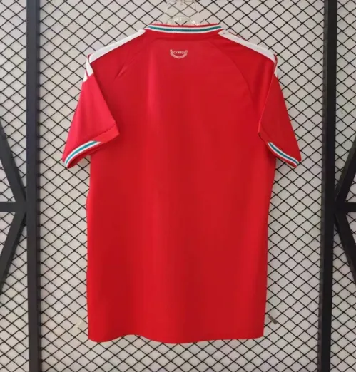 2026 Wales Home Football Shirt 1:1 Thai Quality