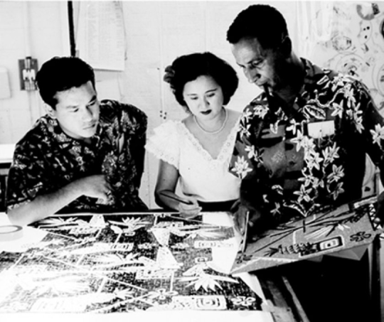 Modern Hawaiian Shirt Style