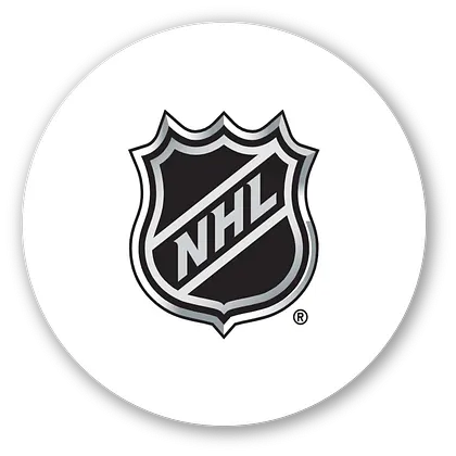 NHL JERSEYS