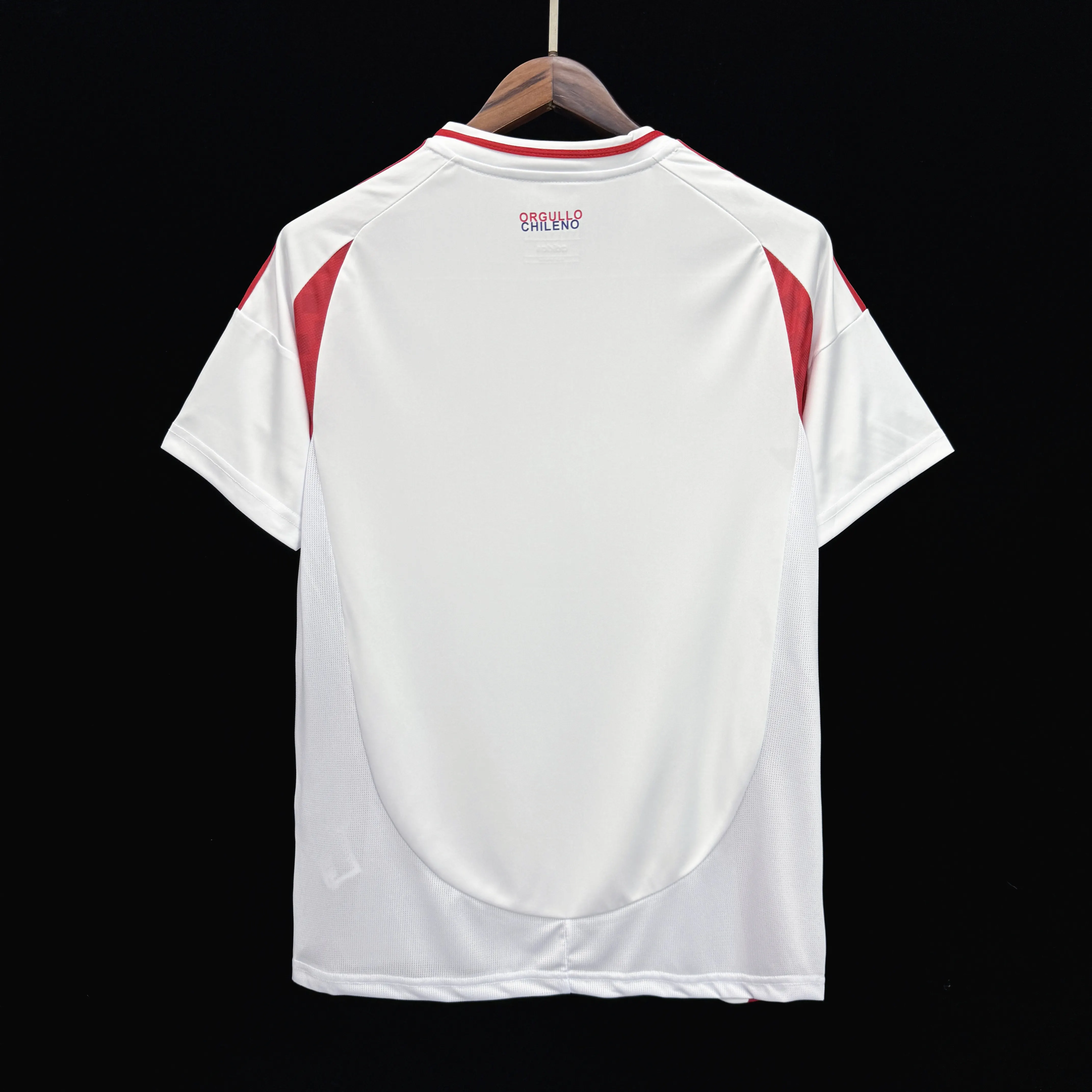 2024-2025 Chile National Team Soccer Jersey Away