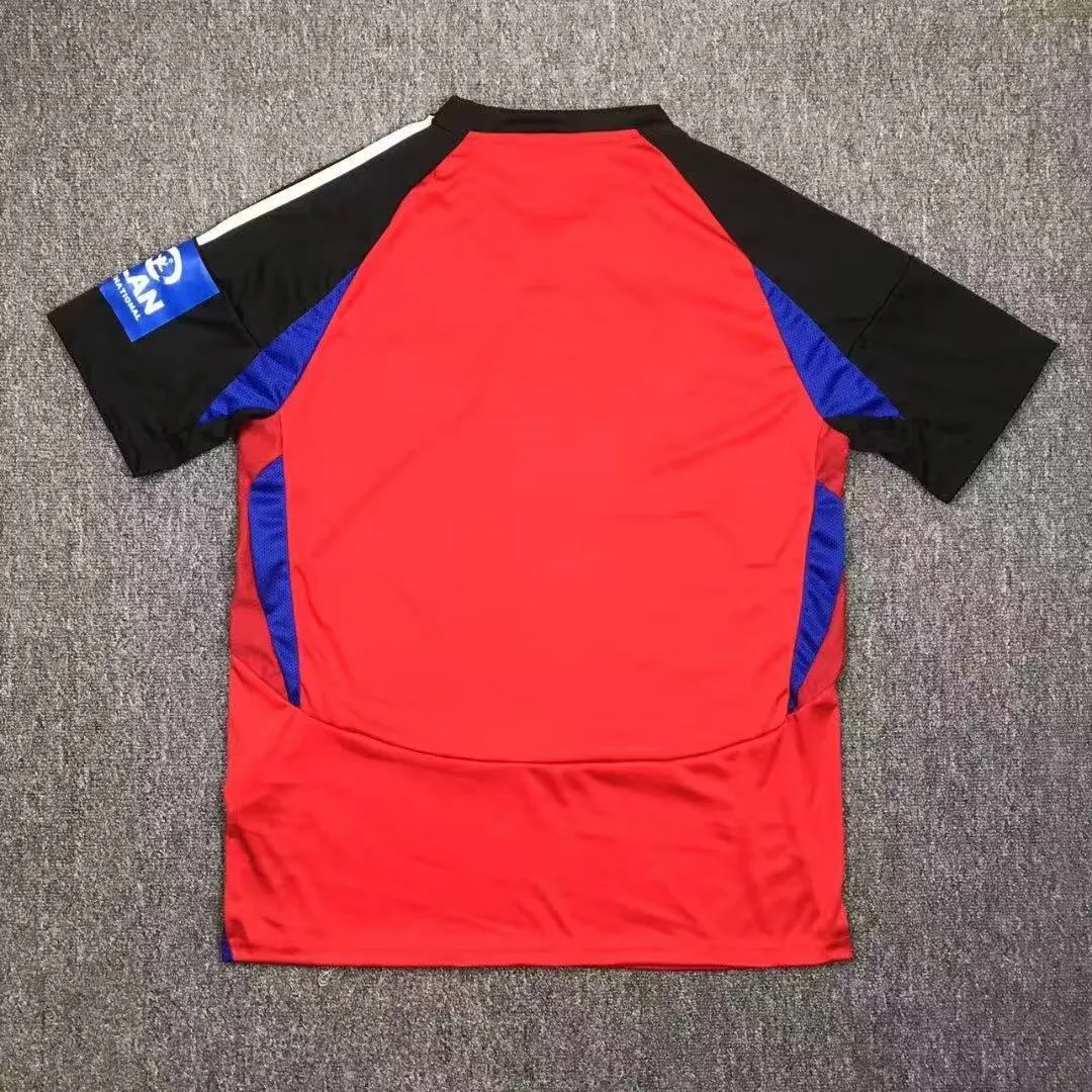2024-2025 Hamburger SV Third Away Football Jersey 1:1 Thai Quality