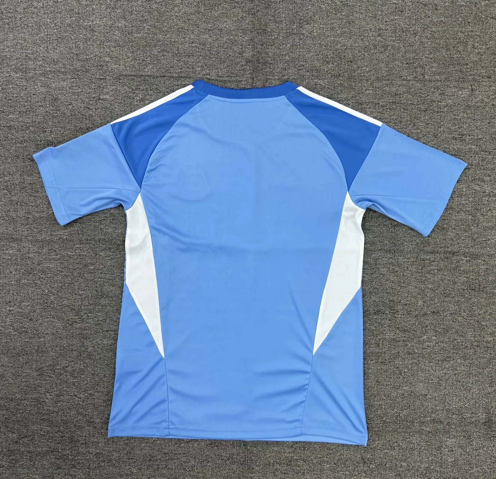 2025/2026 Newcastle United Goalie Blue Football Jersey 1:1 Thai Quality