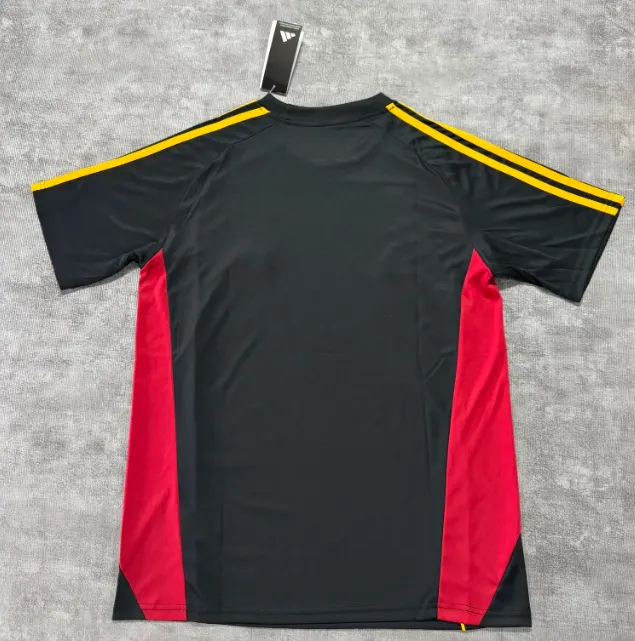 2025/2026 Roma Special Edition Football Jersey 1:1 Thai Quality