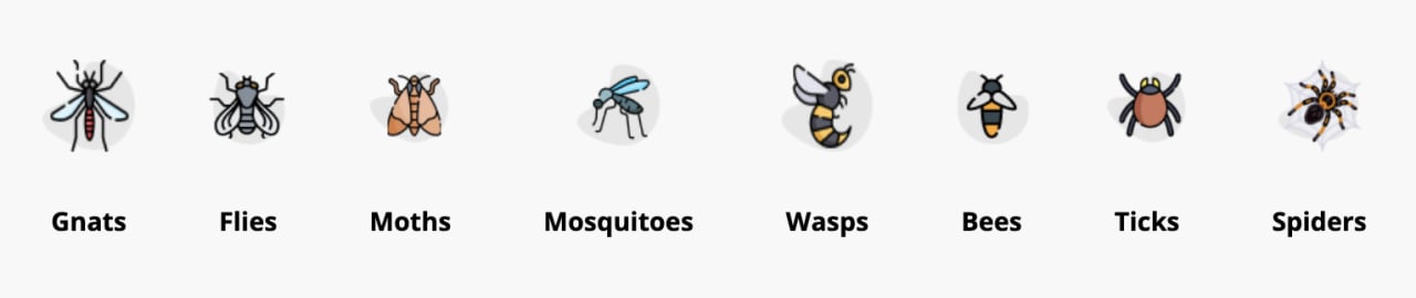Buzz Repel Pro Lamps
